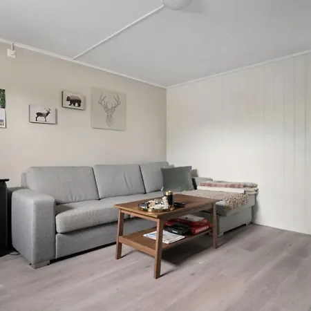 Koselig Lelighet * Trondheim